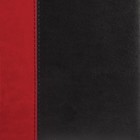 Ежедневник недатированный А5, 160 листов, BRAUBERG Prestige-2, под кожу, красно-чёрный - Фото 4