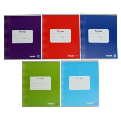 Тетрадь ПИФАГОР, 18 листов, клетка, офсет №2, обложка мелов картон, блок 60 г/м2