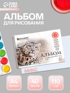Альбом для рисования BRAUBERG «Благородные кошки», А4, 40 листов, на гребне, плотность листов 110 г/м² - Фото 1