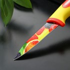 Нож кухонный с антиналипающим покрытием Доляна «Фрукты», лезвие 8 см - фото 4588759