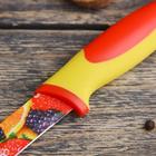 Нож кухонный с антиналипающим покрытием Доляна «Фрукты», лезвие 12 см - Фото 2