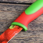Нож кухонный с антиналипающим покрытием Доляна «Клубника», лезвие 12 см - Фото 3