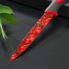 Нож кухонный с антиналипающим покрытием Доляна «Вишенки», лезвие 12 см - фото 4588784