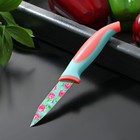 Нож кухонный с антиналипающим покрытием Доляна «Цветочки», лезвие 8 см - Фото 1
