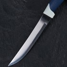 Нож для мяса и стейков Доляна «Страйп», лезвие 10,5 см - Фото 2