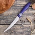 Нож кухонный для цитрусовых Доляна «Страйп», лезвие 12 см - Фото 7
