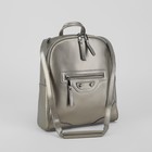 Рюкзак молодёжный на молнии, 1 отдел, 2 наружных кармана, цвет серебро - Фото 6