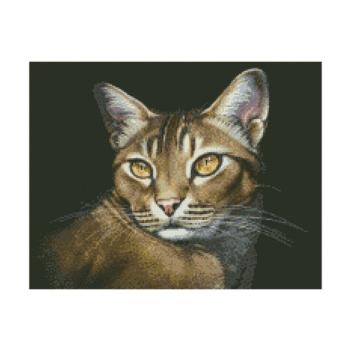 Набор алмазной мозаики «Абиссинская кошка»
