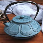 Чайник с ситом 850 мл "Анви", цвет голубой - Фото 1
