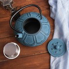 Чайник с ситом 850 мл "Анви", цвет голубой - Фото 4