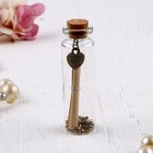 Баночка стеклянная с пробковой крышкой и запиской - пожеланием, МИКС - Фото 4