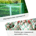 Сетка садовая, 1 × 20 м, ячейка ромб 15 × 15 мм, пластиковая, зелёная, Greengo - Фото 4