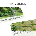 Сетка садовая, 1 × 10 м, ячейка квадрат 50 × 50 мм, пластиковая, зелёная, Greengo - фото 9163669
