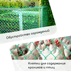 Сетка садовая, 1 × 10 м, ячейка квадрат 50 × 50 мм, пластиковая, зелёная, Greengo - фото 9163670