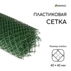 Сетка садовая, 1.5 × 10 м, ячейка ромб 40 × 40 мм, пластиковая, зелёная, Greengo - фото 298000149