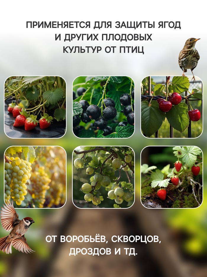 Сетка садовая, 2 × 10 м, ячейка ромб 6 × 6 мм, от птиц, пластиковая, зелёная, Greengo - фото 1908364135