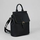 Рюкзак-сумка на молнии, отдел с перегородкой, наружный карман, цвет чёрный - Фото 1