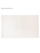 Тетрадь 48 листов в линейку Calligrata «Орнамент», серые листы, МИКС - Фото 4