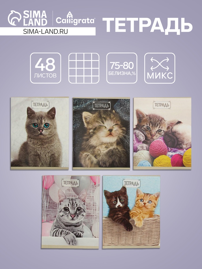 Тетрадь 48 листов в клетку Calligrata «Милые котята», серые листы, МИКС - Фото 1