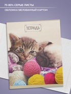 Тетрадь 48 листов в клетку Calligrata «Милые котята», серые листы, МИКС - Фото 2