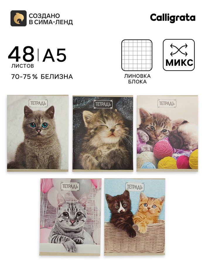 Тетрадь 48 листов в клетку Calligrata «Милые котята», серые листы, МИКС - Фото 1