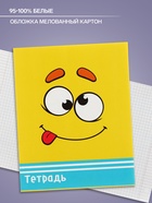 Тетрадь 48 листов в клетку, Calligrata «Смайлики», МИКС - Фото 3