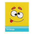 Тетрадь 48 листов в клетку, Calligrata «Смайлики», МИКС - Фото 11