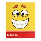 Тетрадь 48 листов в клетку, Calligrata «Смайлики», МИКС - Фото 4