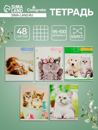 Тетрадь 48 листов в клетку, Calligrata «Котята», МИКС