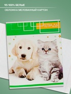 Тетрадь 48 листов в клетку, Calligrata «Котята», МИКС - Фото 2