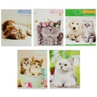 Тетрадь 48 листов в клетку, Calligrata «Котята», МИКС - Фото 3