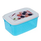 Контейнер для замораживания и хранения продуктов phibo «Кристалл», 1,3 л, с декором, цвет МИКС - фото 4589081