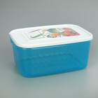 Контейнер для замораживания и хранения продуктов phibo «Кристалл», 1,3 л, с декором, цвет МИКС - фото 4589082