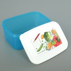 Контейнер для замораживания и хранения продуктов phibo «Кристалл», 1,3 л, с декором, цвет МИКС - фото 4589083