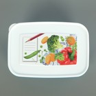 Контейнер для замораживания и хранения продуктов phibo «Кристалл», 1,3 л, с декором, цвет МИКС - фото 4589084