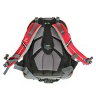 Рюкзак Deuter Ypsilon 46*32*22, красная клетка - Фото 4