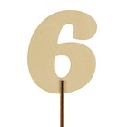 Топпер цифра "6", с держателем - Фото 1