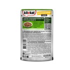 Влажный корм KiteKat для кошек, курица в желе, пауч, 85 г - Фото 2