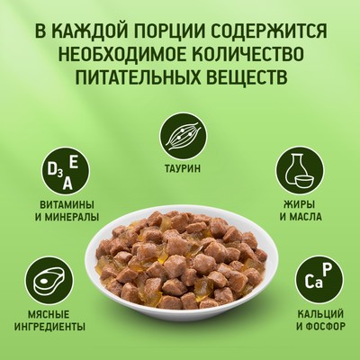 Влажный корм KiteKat для кошек, курица в желе, пауч, 85 г