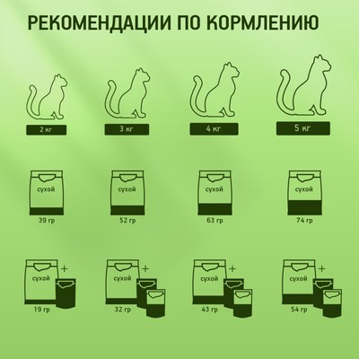 Влажный корм KiteKat для кошек, курица в желе, пауч, 85 г