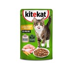 Влажный корм KiteKat для кошек, курица в желе, пауч, 85 г - Фото 9