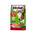 Сухой корм KiteKat «Мясной пир» для кошек, 1.9 кг - Фото 8