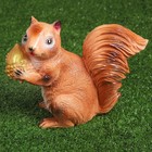 Садовая фигура "Белка" 24х13х27см МИКС - Фото 2