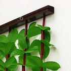 Занавеска декоративная «Листики», 90×170 см, зигзаг, 12 нитей, цвет зелёный - Фото 3