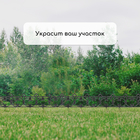 Ограждение декоративное, 30×290 см, 5 секций, пластик, чёрное, «Парковый» - Фото 7