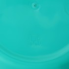 Тарелка «Пикник», 700 мл, цвет МИКС - Фото 5