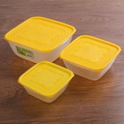 Набор контейнеров пищевых для СВЧ "Пикник", 3 шт: 500 мл, 1 л, 2 л - Фото 1