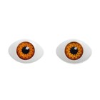 Глаза, набор из 8 шт., размер радужки — 12 мм, цвет карий - фото 3732186