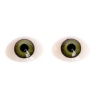 Глаза, набор 8 шт., размер радужки 12 мм, цвет зелёный - фото 8373816
