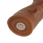 Игрушка пищащая "Ветка" для собак, 21,5 см, коричневая - Фото 4
